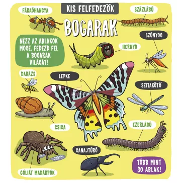 Kis felfedezők - Bogarak 