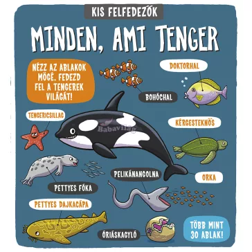 Kis felfedezők - Minden, ami tenger