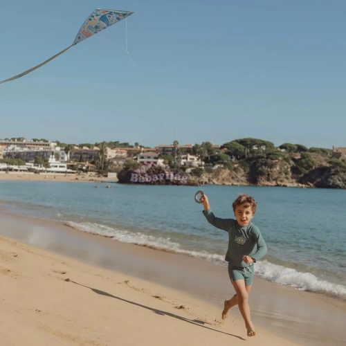 Little Dutch szélsárkány - Ocean World 